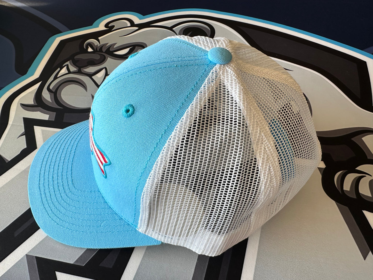 (NEW)Fish American Flag Mesh Back Snapback Hat - Carolina Blue