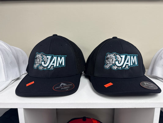 JAM FlexFit 3D Embroidered Hat - Pacific 404M